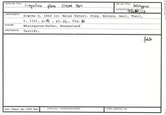 Karteikarte zum Holotyp von Lingulina glans Stache, 1864